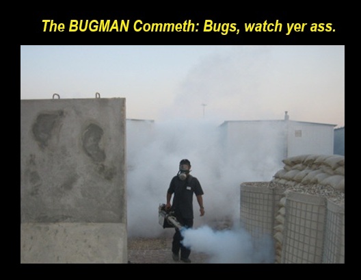 The Basra Bugman